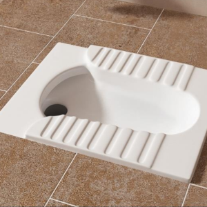 Camelia Eastern Toilet Rimless