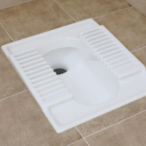 Kiana Eastern Toilet